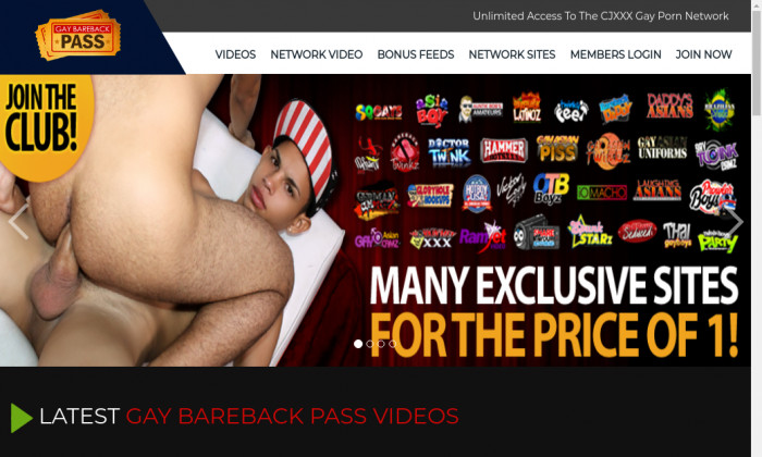 gaybarebackpass.com