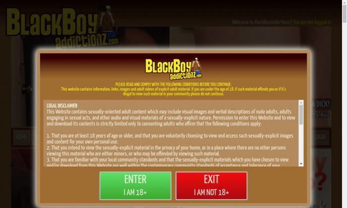 blackboyaddictionz.com