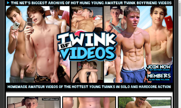 twinkbfvideos.com