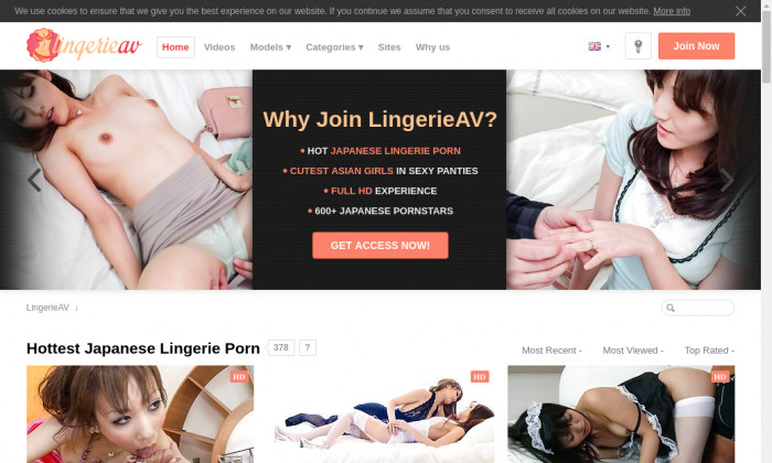 lingerieav.com