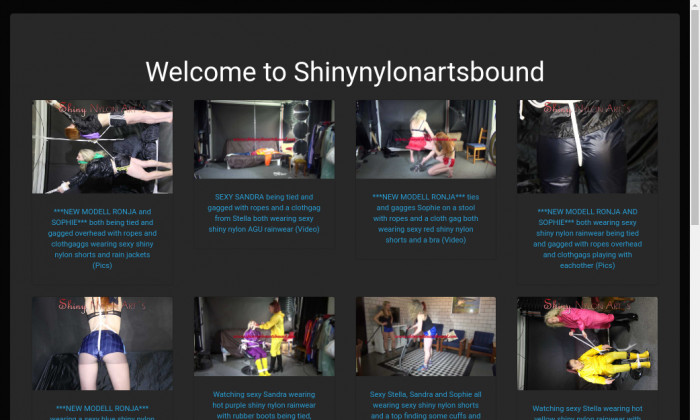 shinynylonartsbound.com