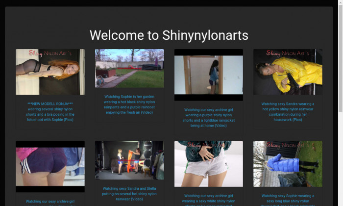 shinynylonarts.com