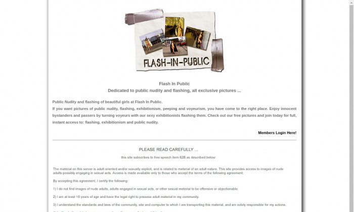 flashinpublic.com