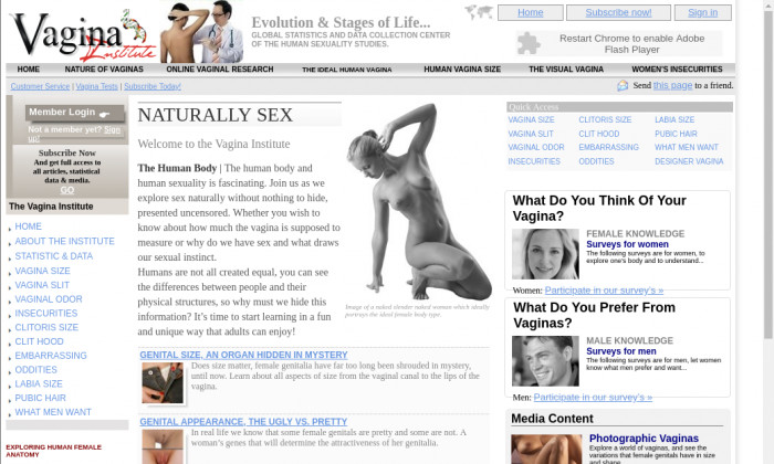 vaginainstitute.com