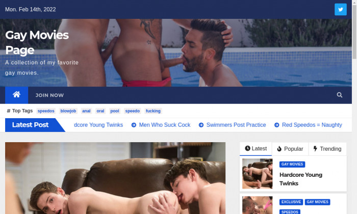 gaymoviespage.com