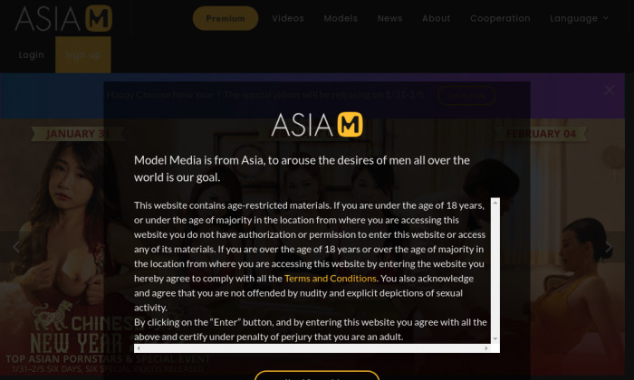 modelmediaasia.com