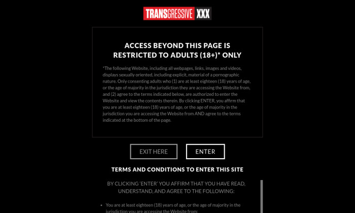transgressivexxx.com