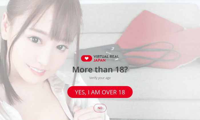 virtualrealjapan.com