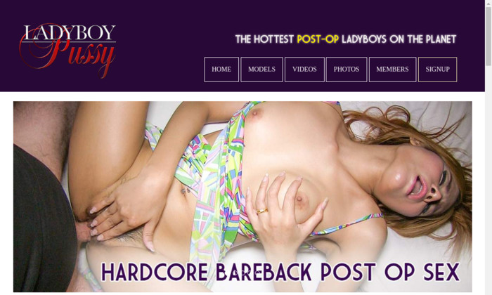 ladyboypussy.com