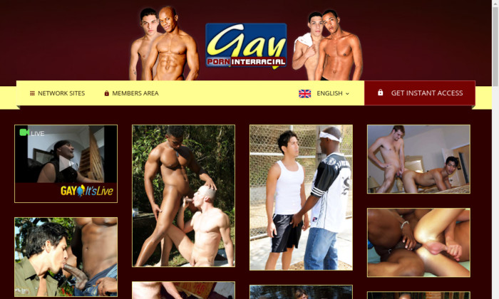gayporninterracial.com