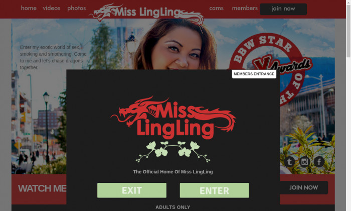 misslingling.com