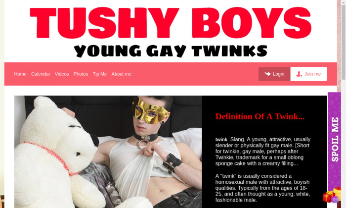 tushyboys.com