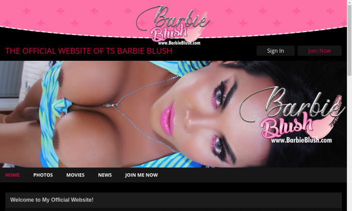 barbieblush.com