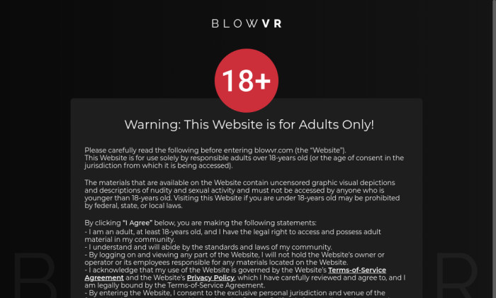blowvr.com