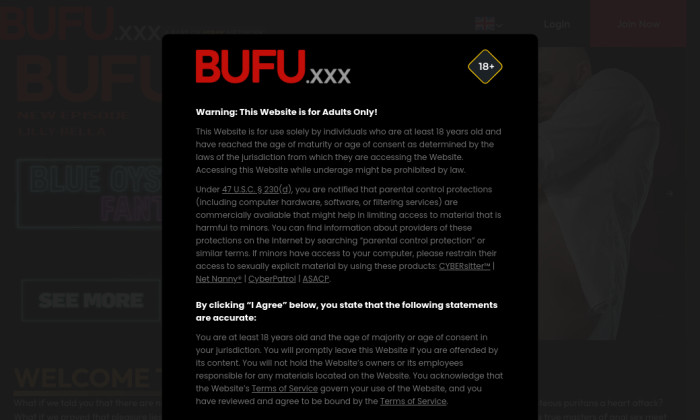 bufu.com