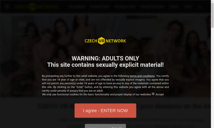 czechvrnetwork.com