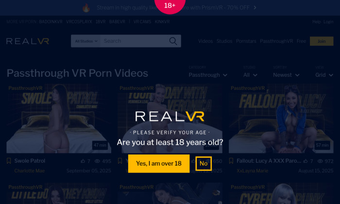 passthroughvr.com