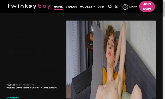 twinkeyboy.com