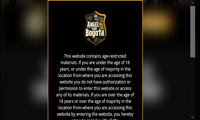 angelofbogota.com