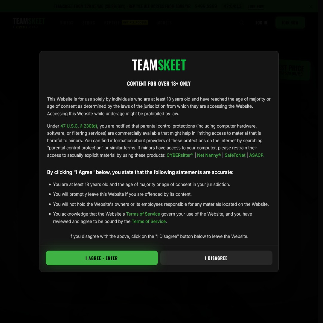 reptyle.com account